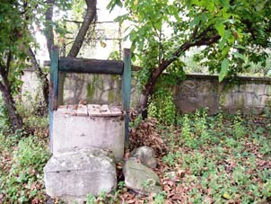 Parkia 030.jpg