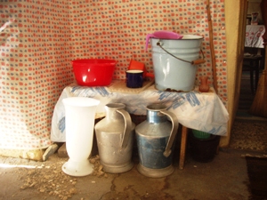 Katus n hza 2010 065.jpg