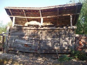 P1010034.JPG