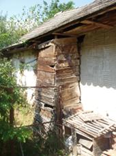 Katus n hza 2010 139.jpg