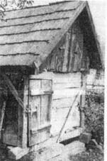 Lauber Jzsef disznla.jpg