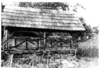 Lauber Jzsef, disznl.jpg