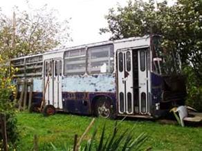 Busz.jpg