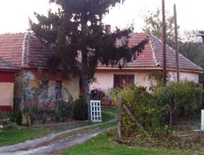 Dufln 2008 Dzsa Gy.JPG