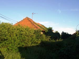 2009 jn Tanyai hzak Kr hz.jpg