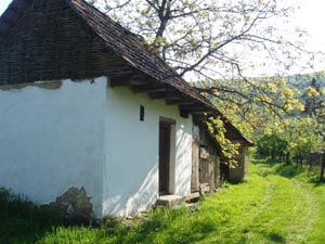 Kistanyai hz kamrja 2009 pr. 024.jpg