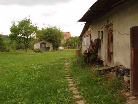 Hauser_Imre 072.jpg
